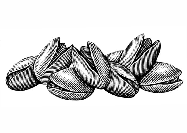 Pistachios art
